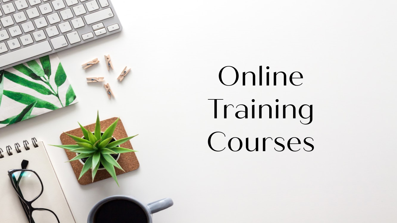 training for interior designers in SketchUp Pro and AutoDesk Revit